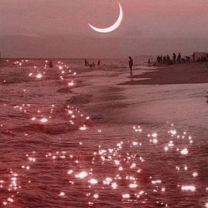 Meet your Posher, Ella